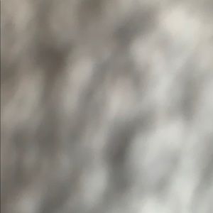 Meet your Posher, Gracie